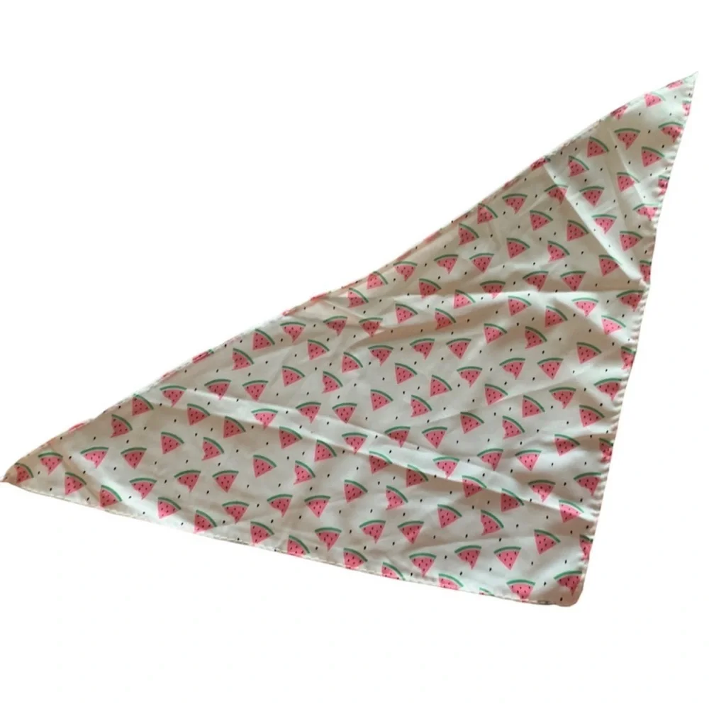 NWOT Pet Bandana - Watermelon Print